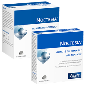 Noctesia